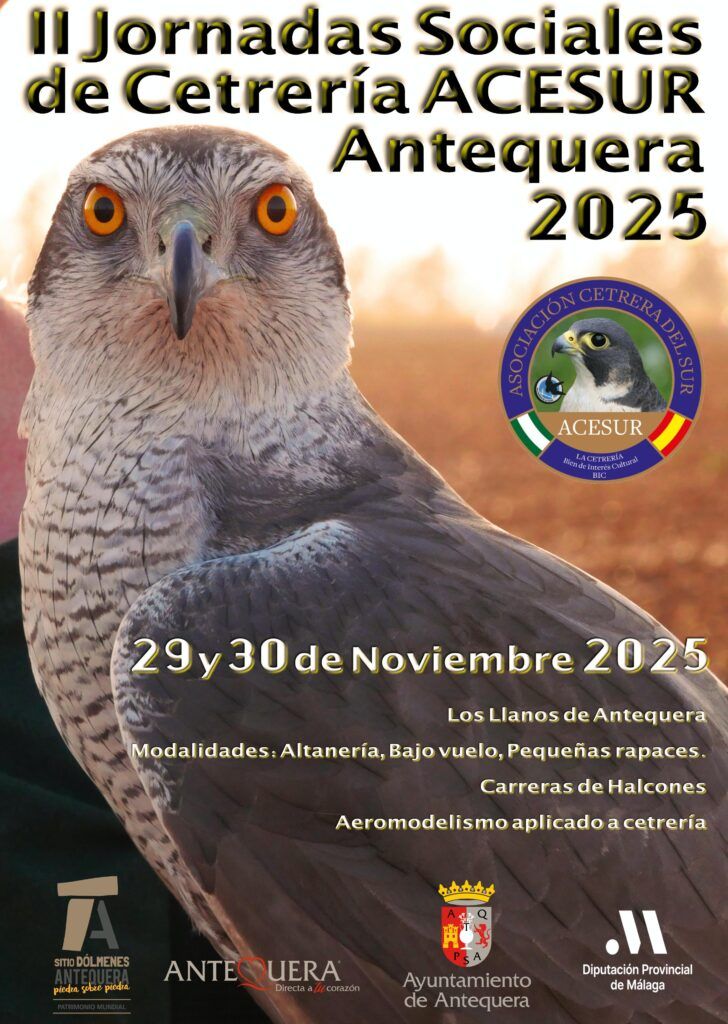 Eventos y Competiciones de ACESUR