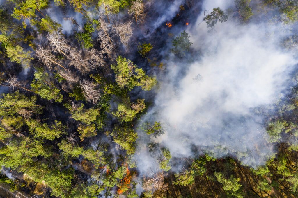 Estamos con vosotros – Incendios producidos
