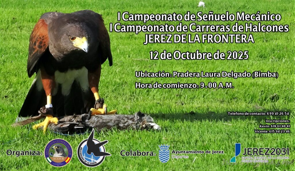 I Campeonato de señuelo mecánico y Carreras de Halcones Jerez 2025 – ACESUR