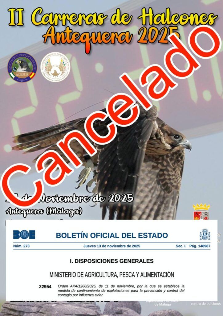 (Cancelado) Normativa Admisión II Jornadas Sociales de Cetrería Antequera 2025