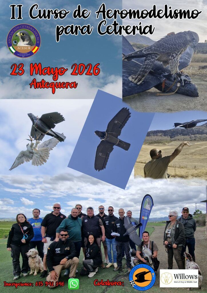 II Curso de aeromodelismo para cetrería