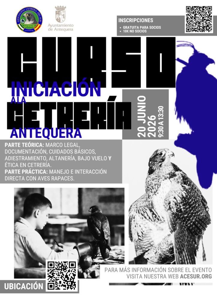 Curso de Iniciación a la Cetrería (Curso Básico de Cetrería)