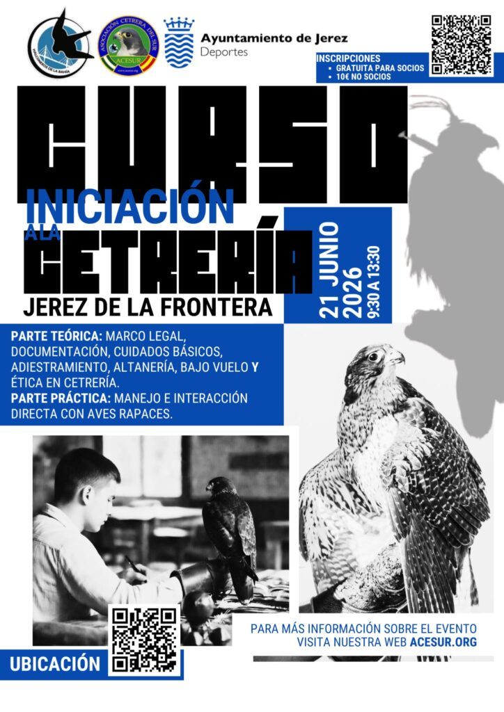 Curso de Iniciación a la Cetrería (Curso Básico de Cetrería) Jerez (Cádiz)