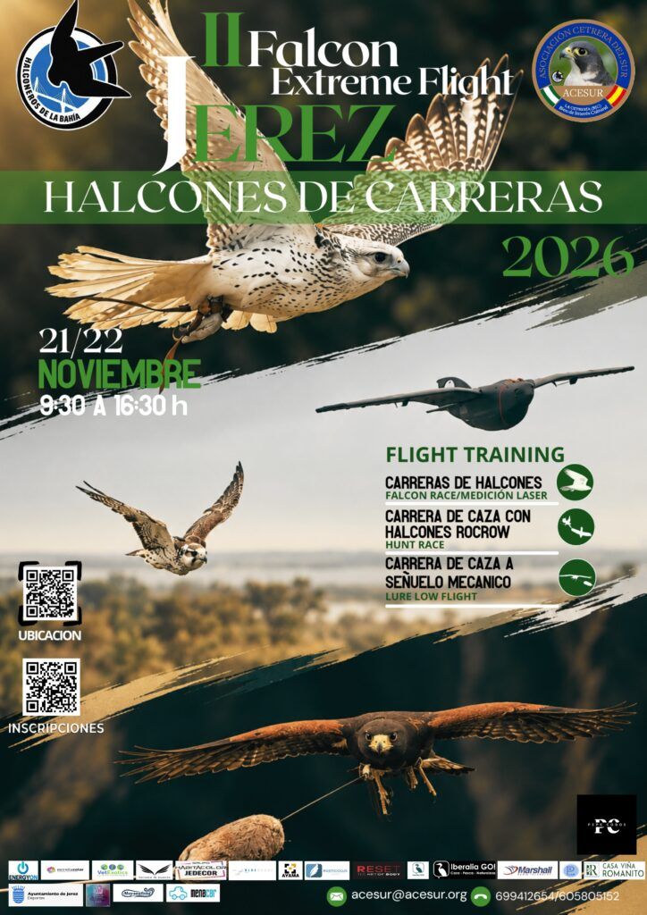 II Falcón Extreme Flight – 21 y 22 de Noviembre