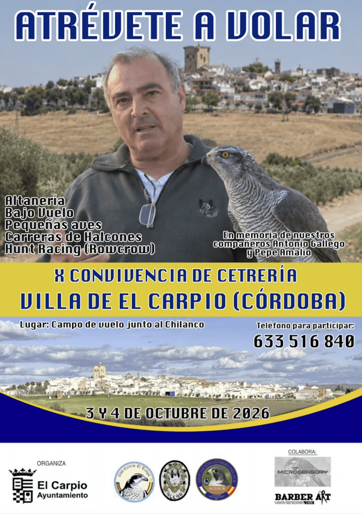 X Convivencia de Cetrería – Villa de El Carpio (Córdoba)