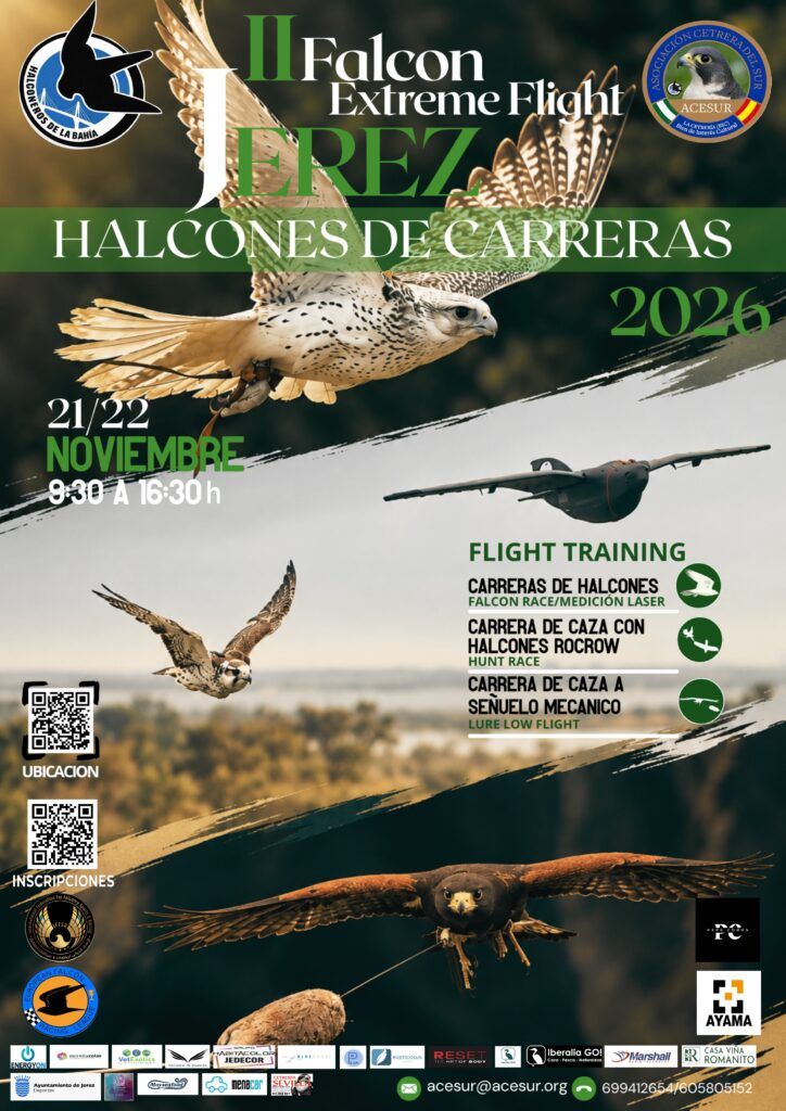 II Falcón Extreme Flight – 21 y 22 de Noviembre