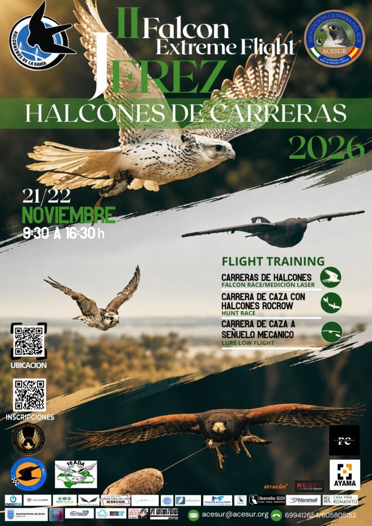 II Falcón Extreme Flight – 21 y 22 de Noviembre