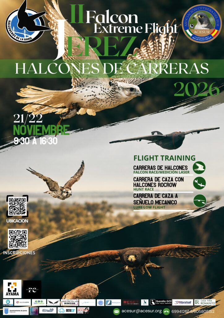II Falcón Extreme Flight – 21 y 22 de Noviembre